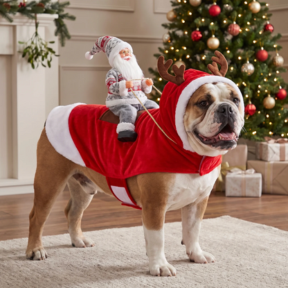 Christmas Dog Sweaters